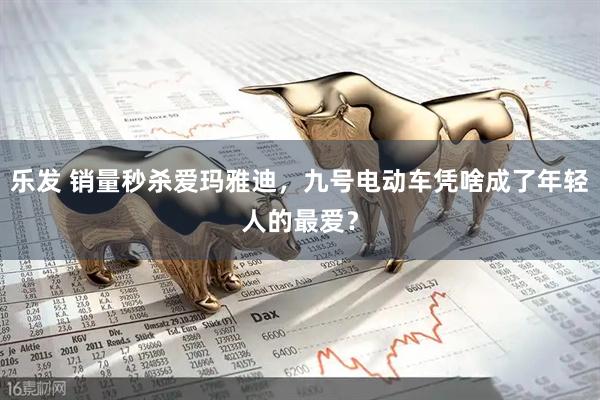 乐发 销量秒杀爱玛雅迪，九号电动车凭啥成了年轻人的最爱？