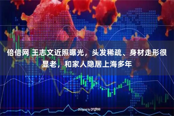 倍倍网 王志文近照曝光，头发稀疏、身材走形很显老，和家人隐居上海多年
